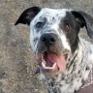 Meet your Posher, Tay